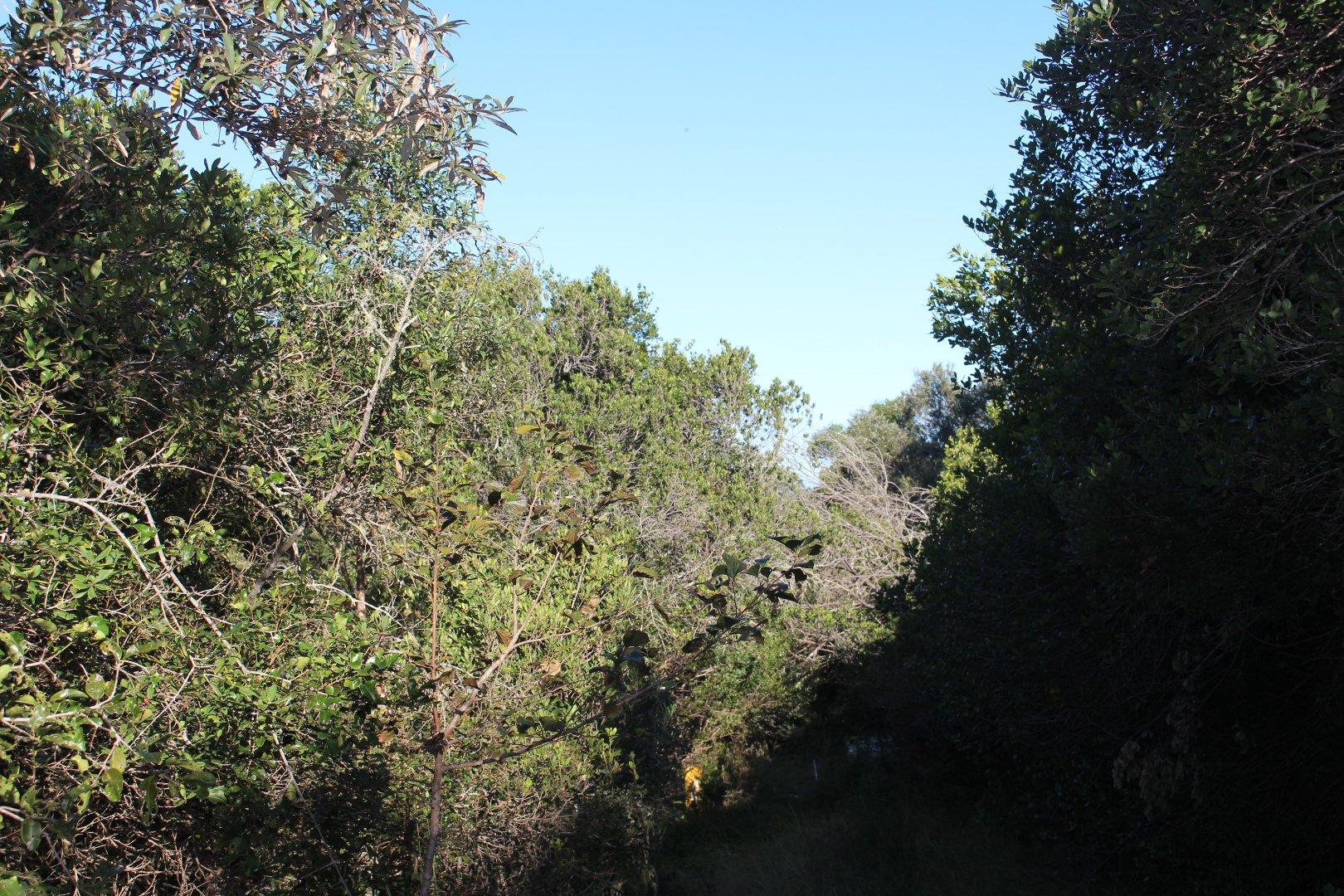 730734_5.jpg