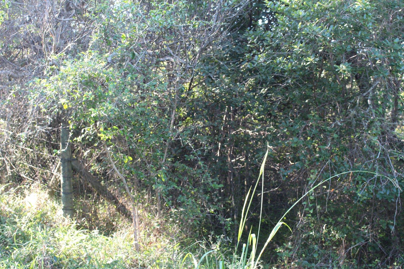 730734_8.jpg