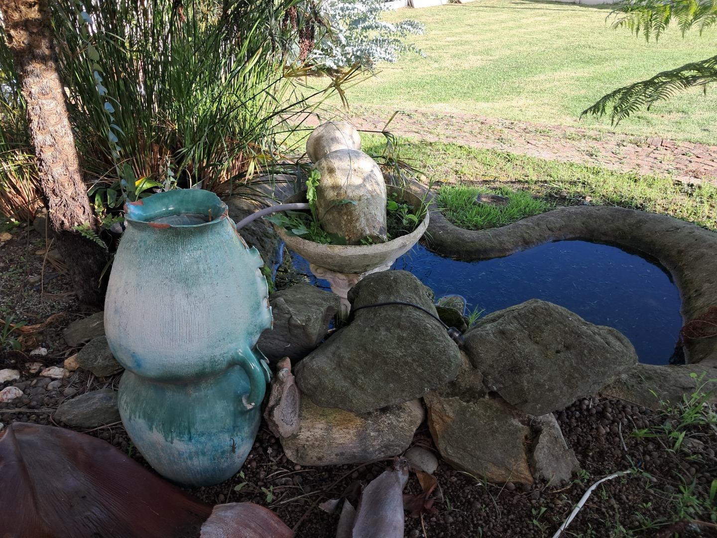 740130_FRONT_-_FISH_POND.jpg