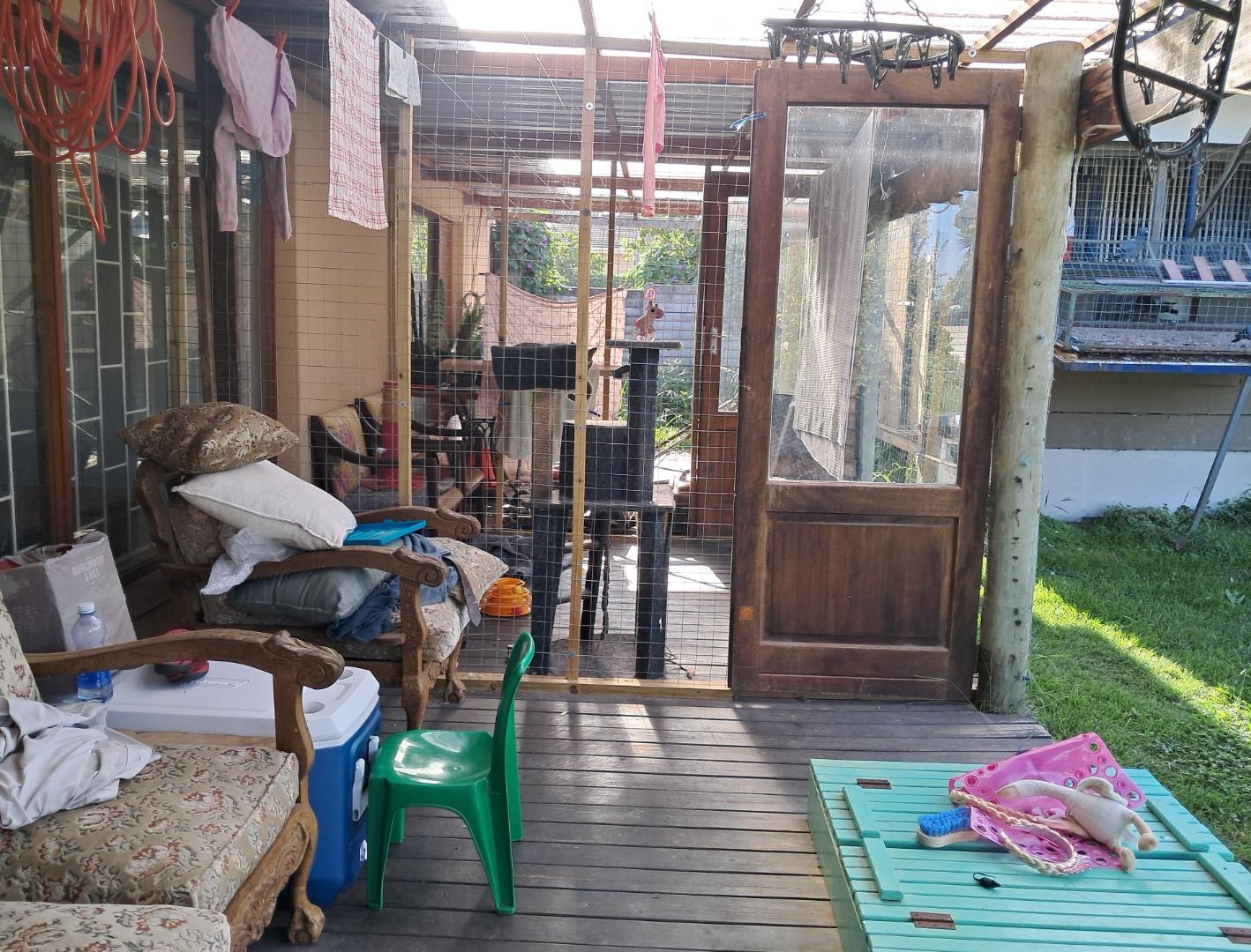 740130_PATIO_-_CATTERY.jpg