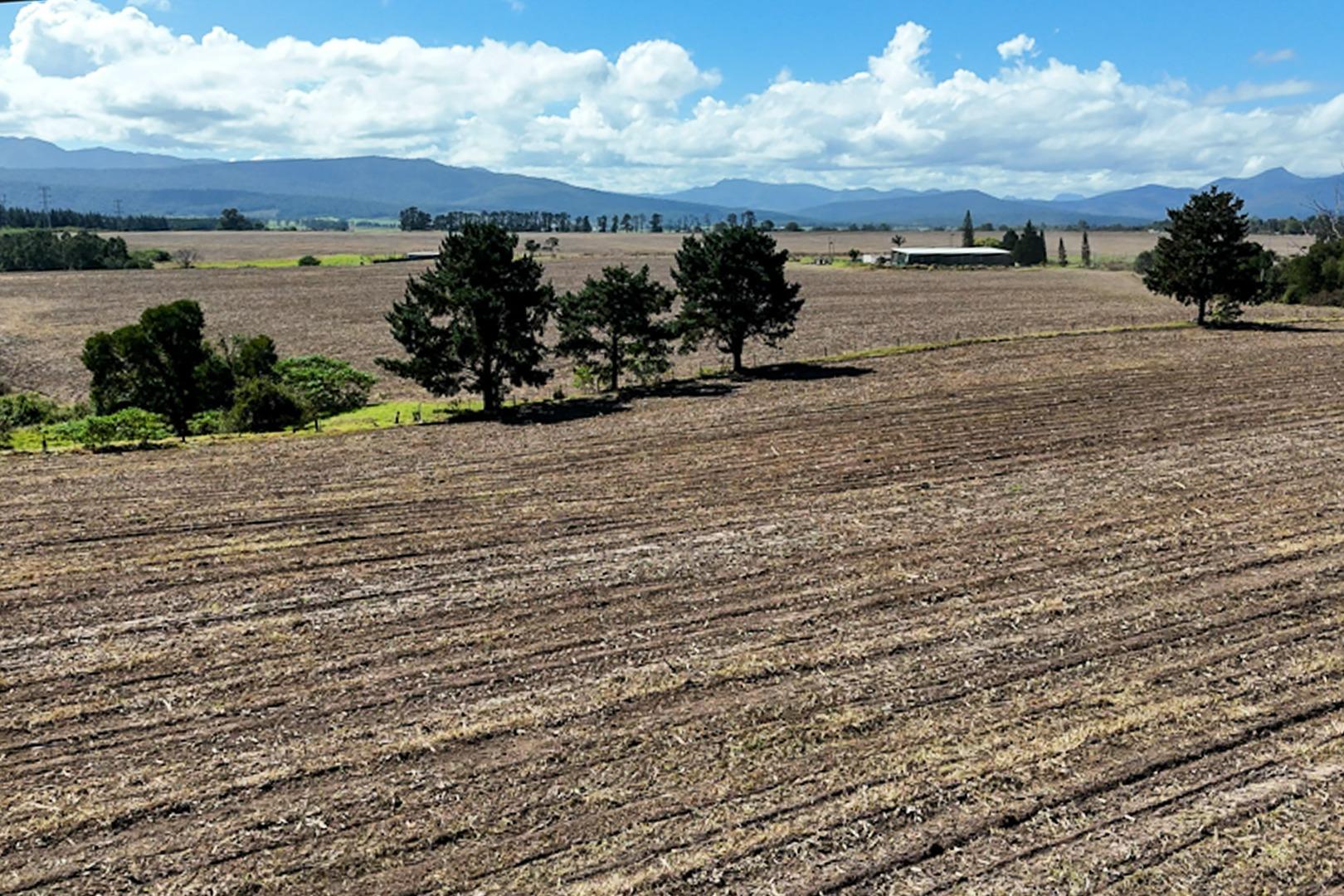 Farm for Sale - Western Cape