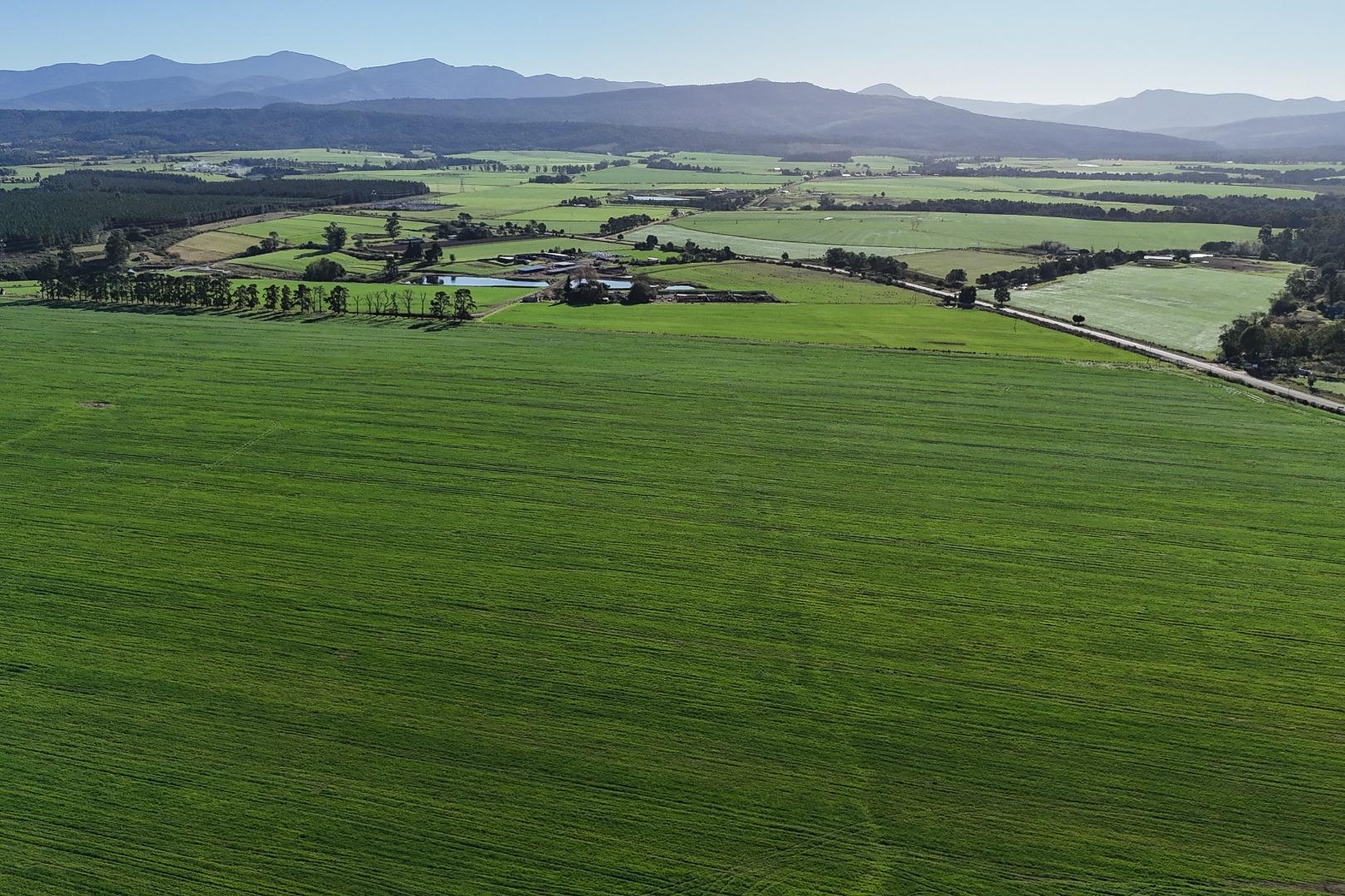 Farm for Sale - Western Cape