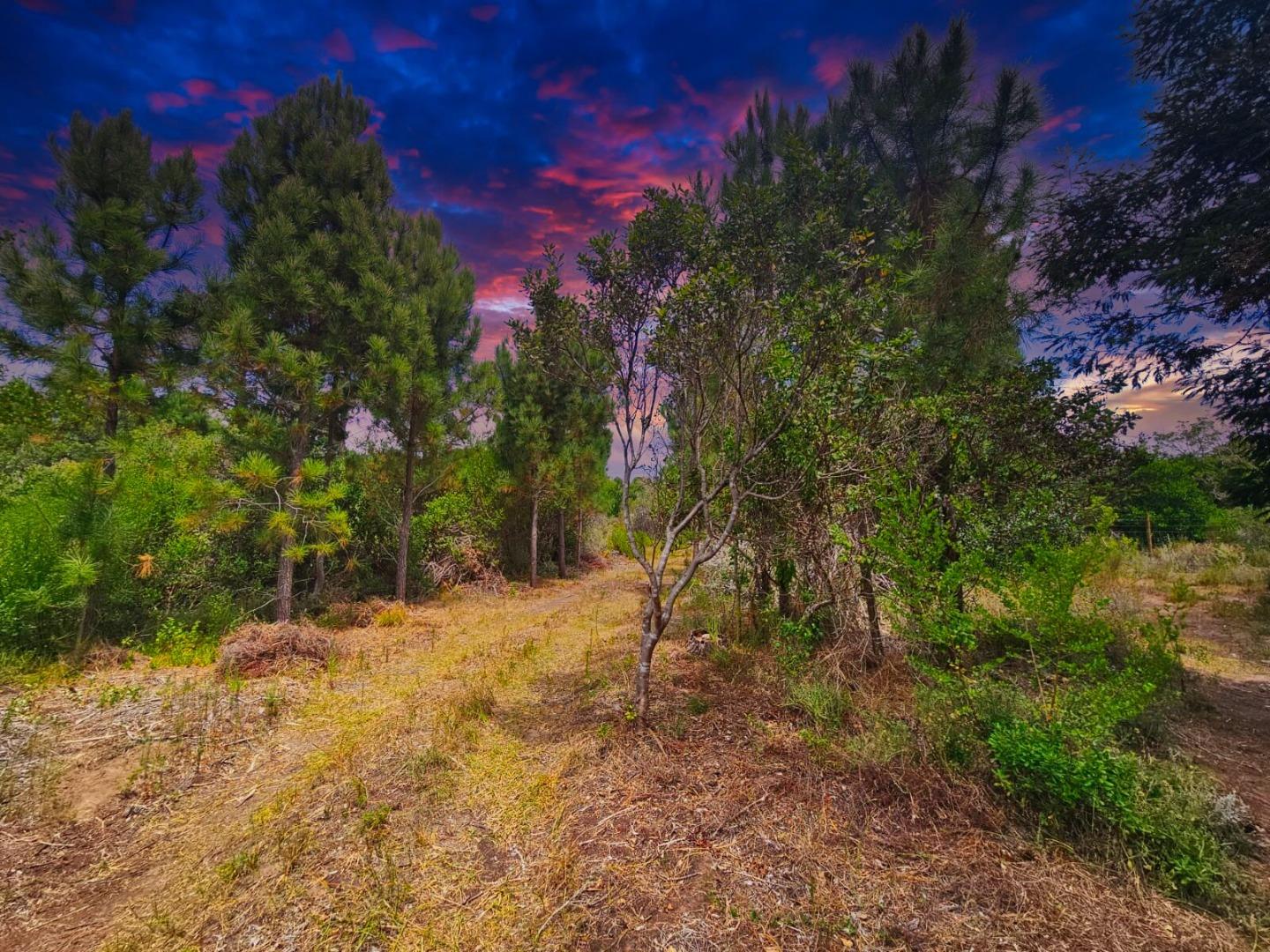 Vacant Land for Sale - Western Cape