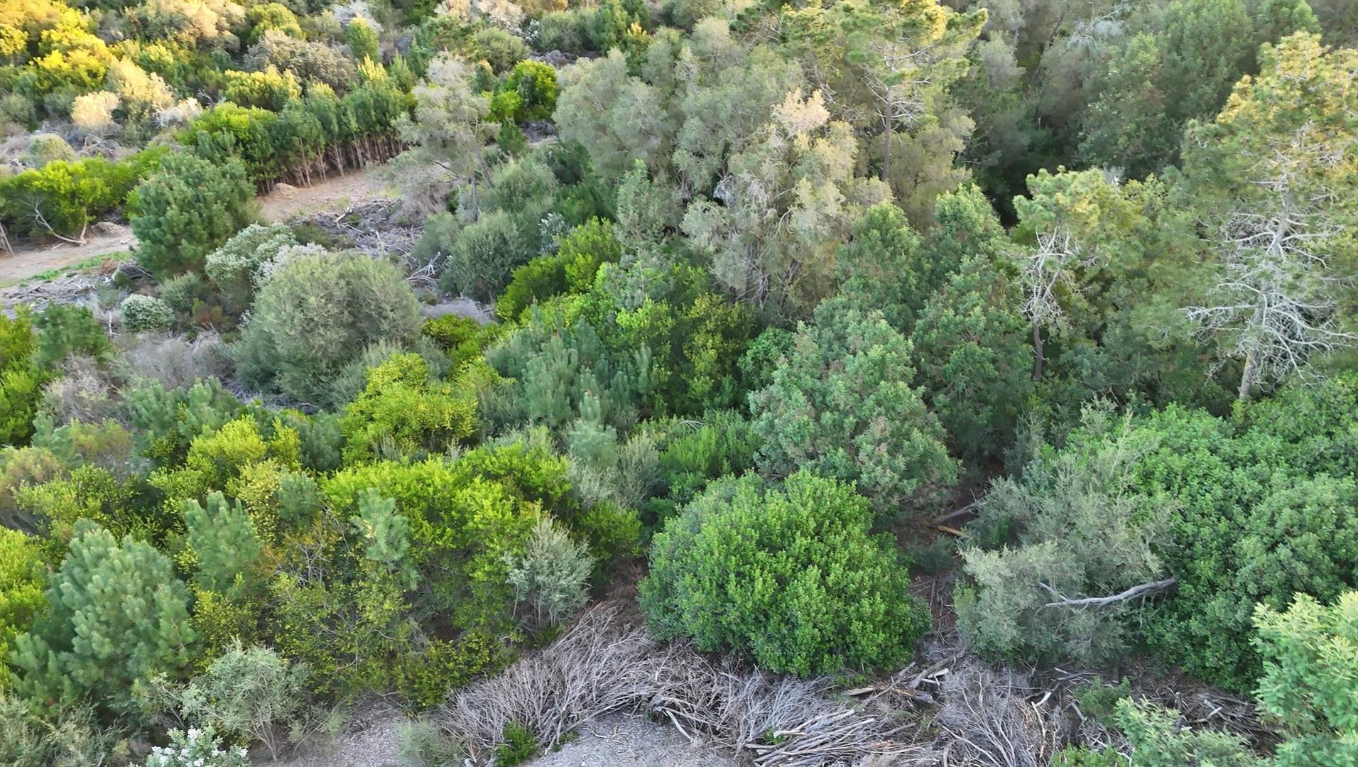 753438_2025-08-03_18_46_00-DJI_20250801172942_0009_D.jpg