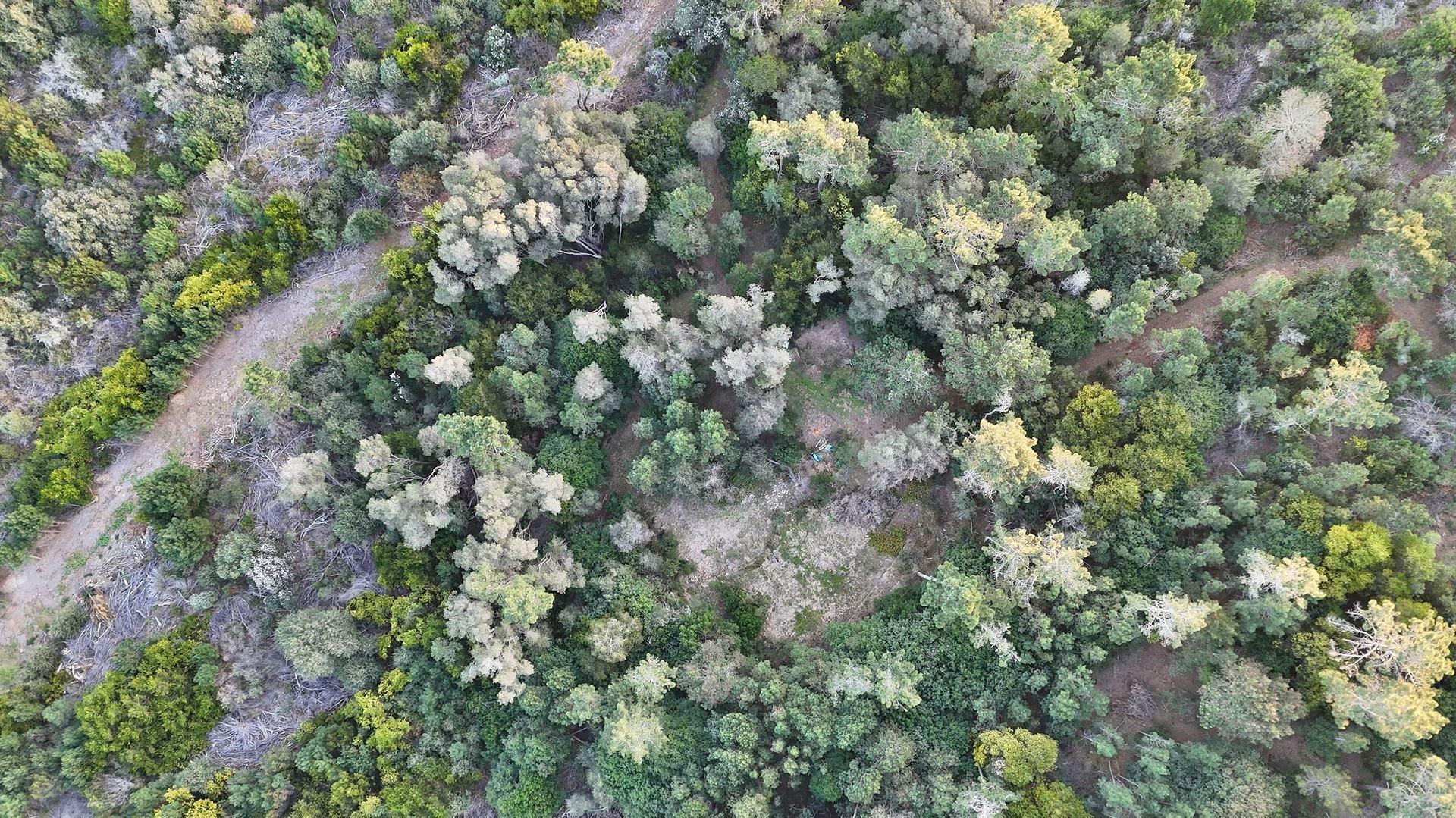 753438_2025-08-03_19_39_23-DJI_20250801173539_0018_D.jpg