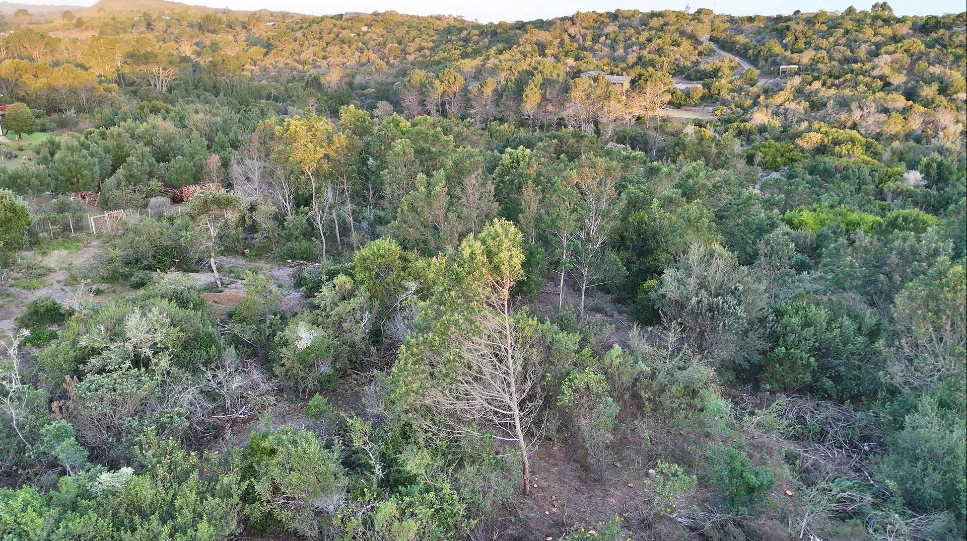 753438_2025-08-03_19_40_52-DJI_20250801173833_0020_D.jpg