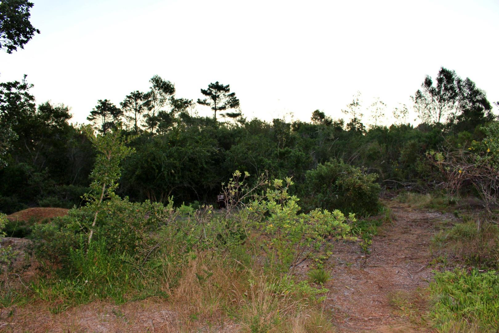 753438_IMG_8527.JPG