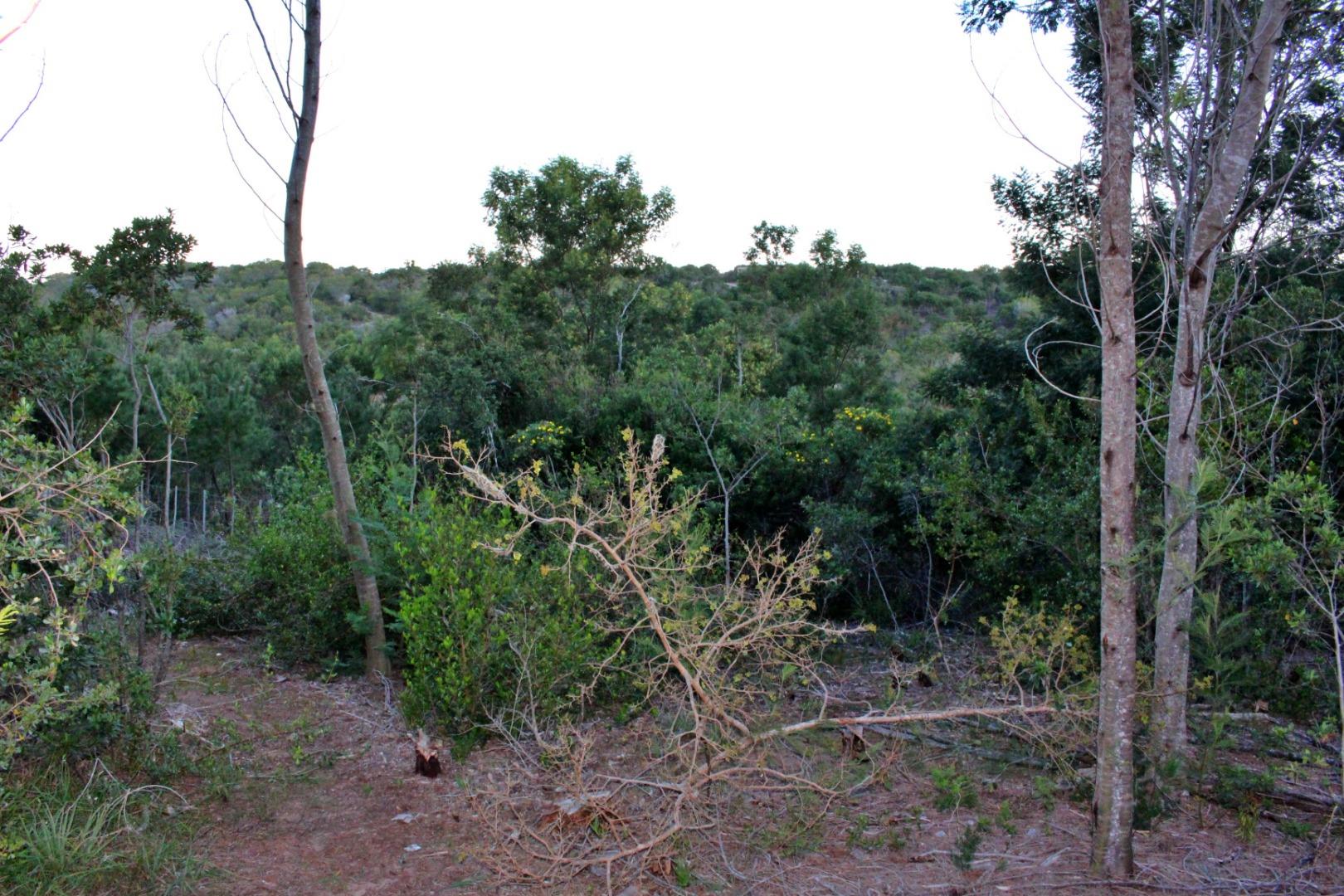 753438_IMG_8530.JPG