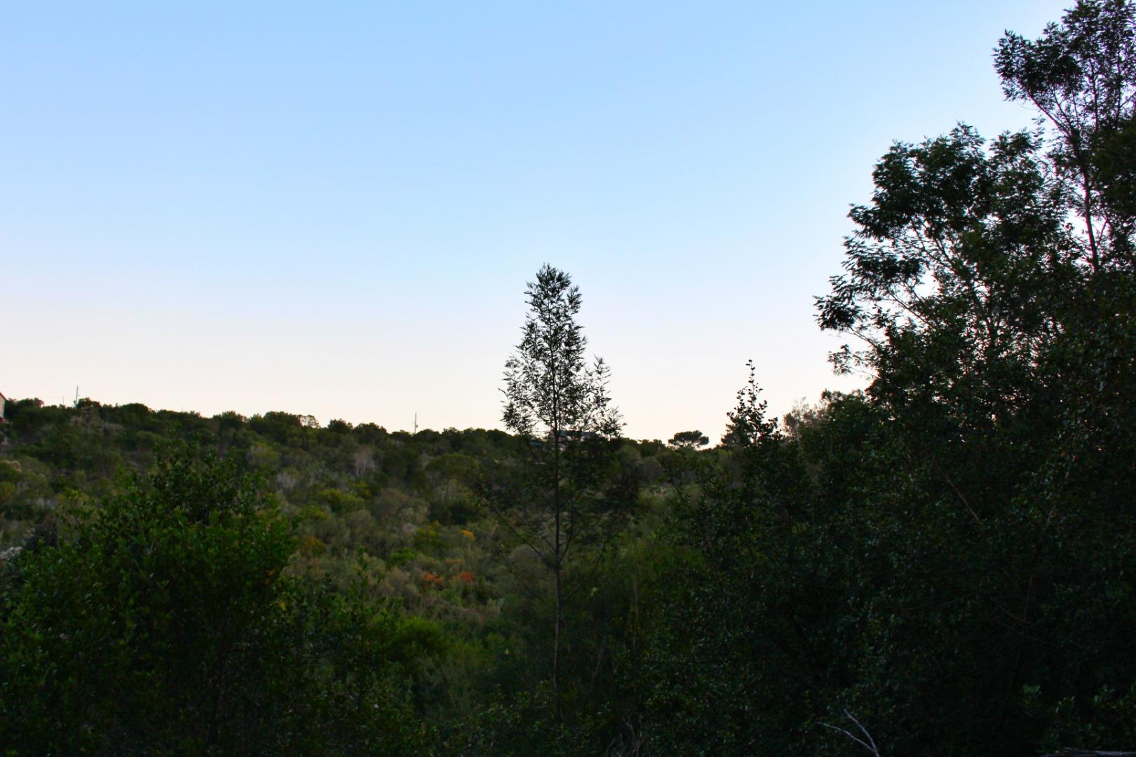 753438_IMG_8535.JPG