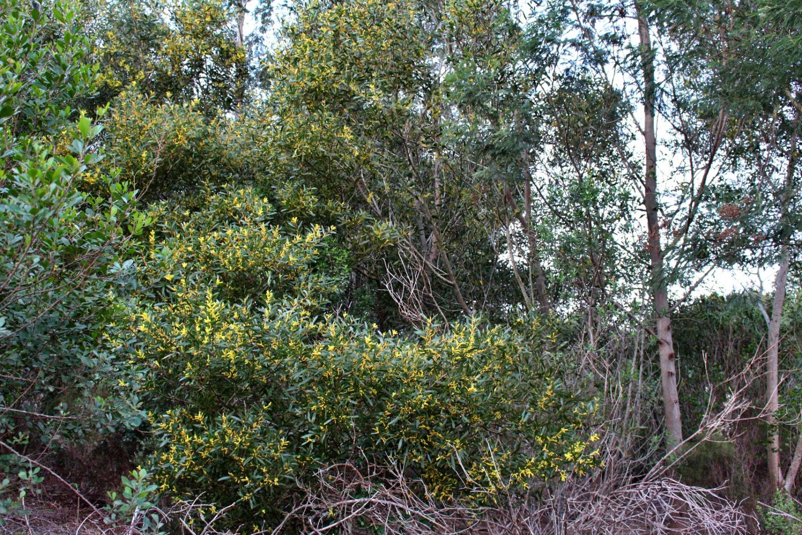 753438_IMG_8537.JPG