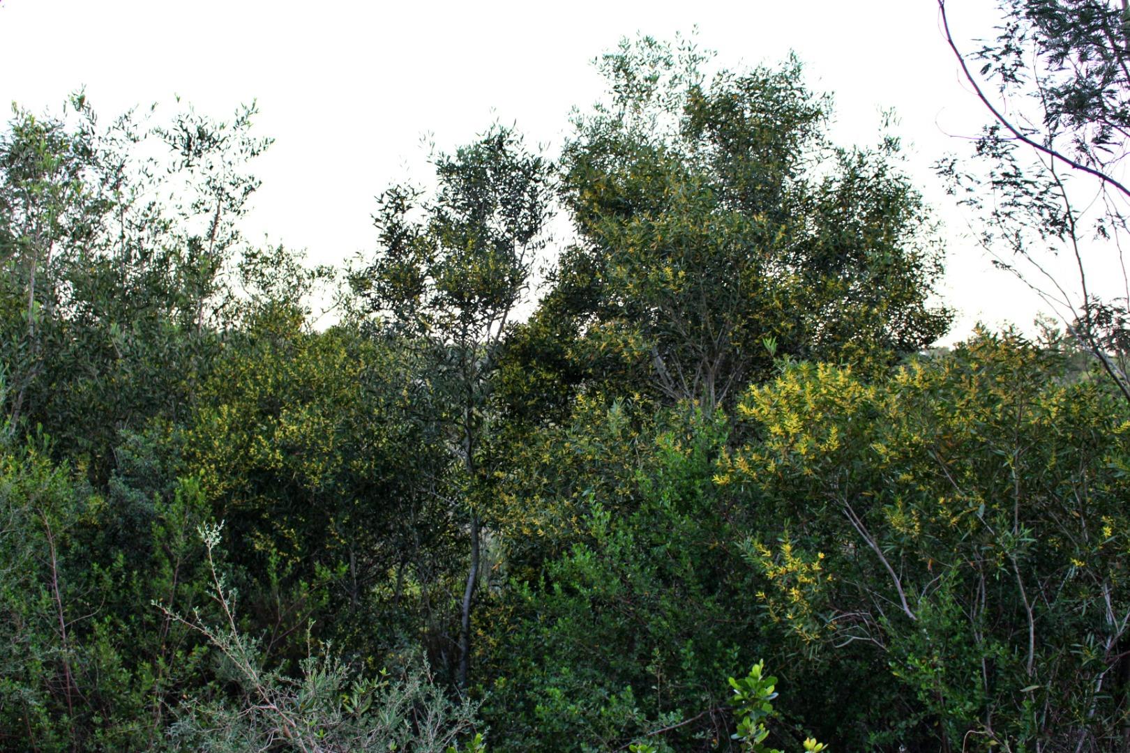 753438_IMG_8546.JPG