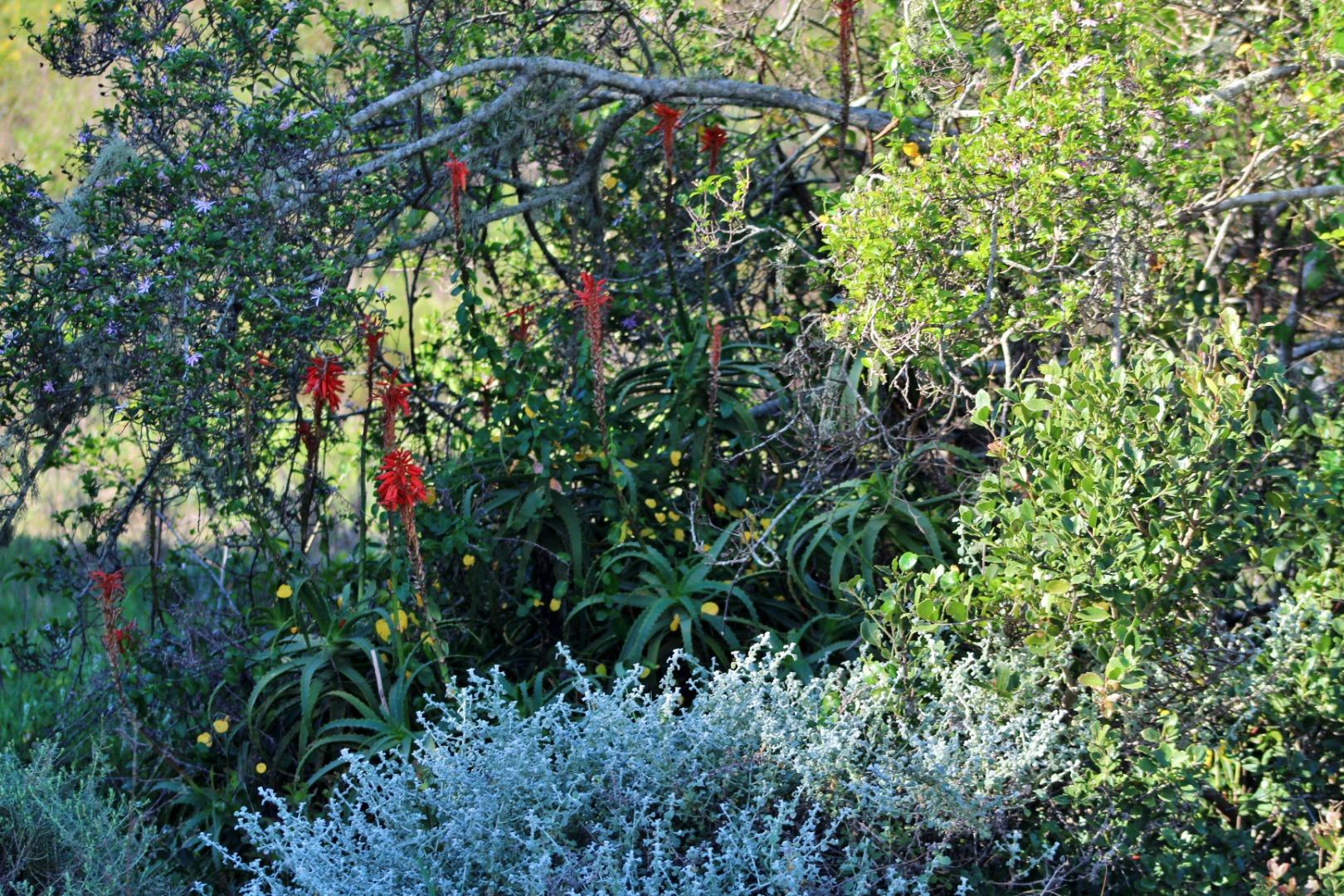Farm for Sale - Western Cape