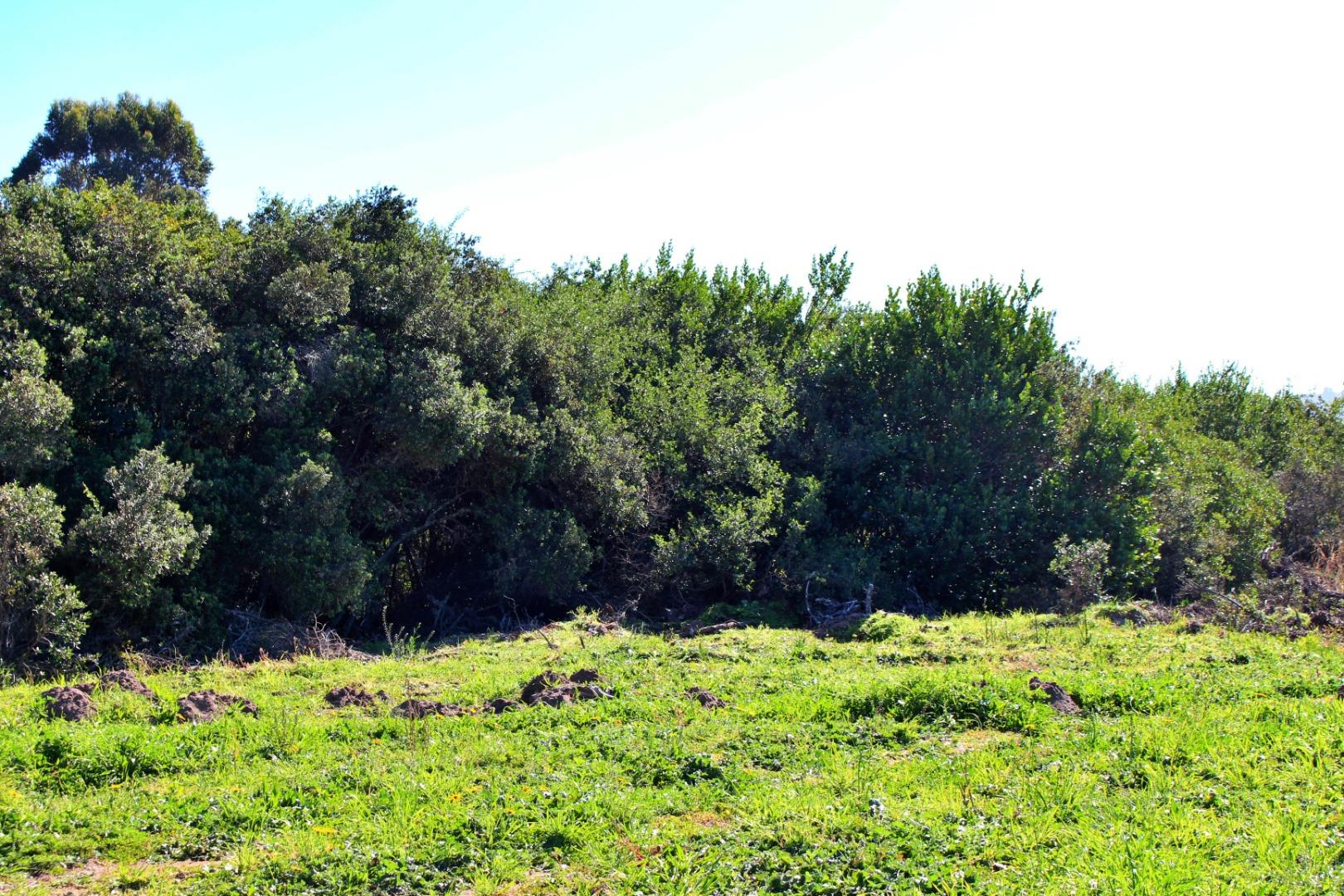 Farm for Sale - Western Cape
